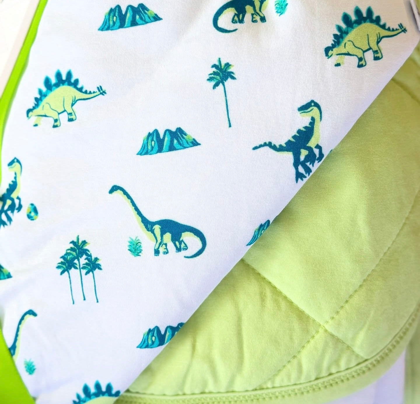 Dinosaurs | Sprig Quilted Lovey